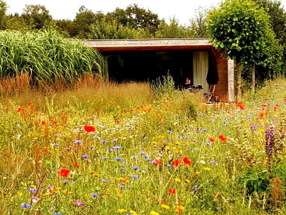 Sfeervol Chalet Midden In De Natuur Halle Exterior photo